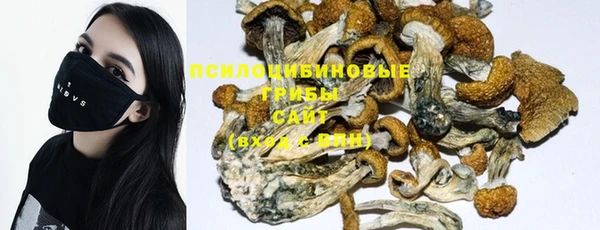 марки nbome Аркадак