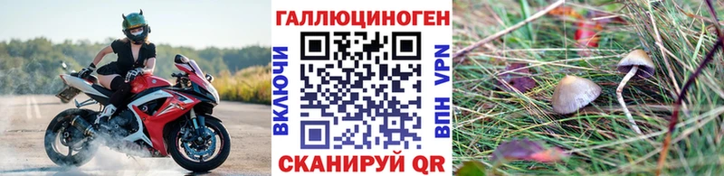 Псилоцибиновые грибы ЛСД как найти Бийск
